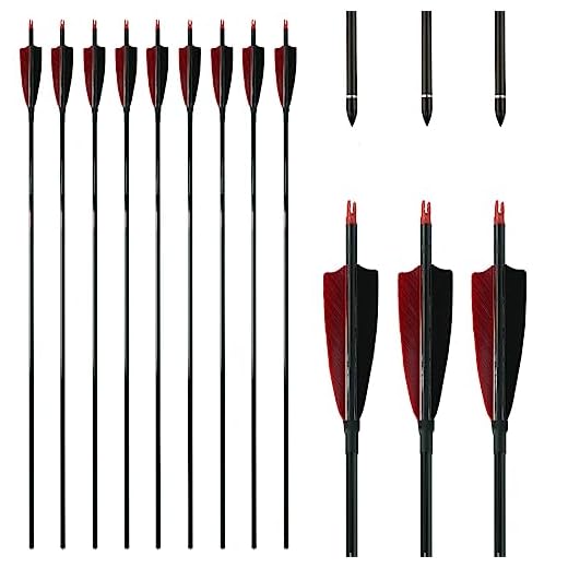Linkboy Archery Pure Carbon Arrows Spine 300 340 400 500 600 700 800 for Compound Recurve Bow Hunting Shooting Target 12pcs (Spine 400 30inch)