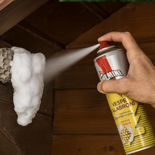 Virsus 6 Bomboletta Insetticida Spray Schiumogeno Fulm790 Per Vespe E Calabroni, Capacità 500Ml, Azione Rapida Con Getto Fino A 4 Metri, Disinfestante Vespicida Per Nidi - 5