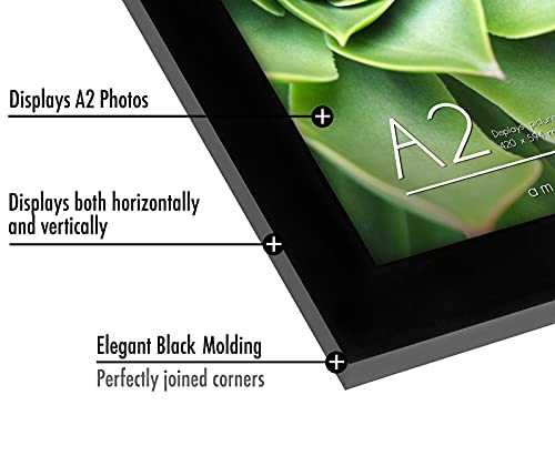 Americanflat A2 Picture Frame with Polished Plexiglass - 16.5x23.4 Frame with Engineered Wood - Signature Collection - A2 Frames for Wall Display - Black by Americanflat - Image 2