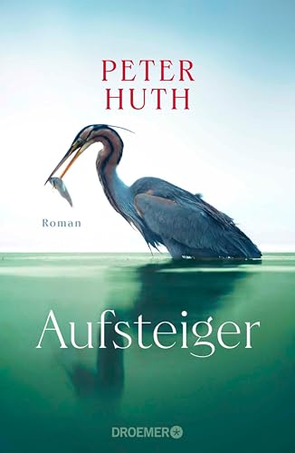 Aufsteiger: Roman (German Edition)