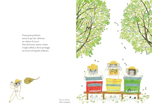 Un Anno Tra Gli Alberi. Ediz. A Colori - 5