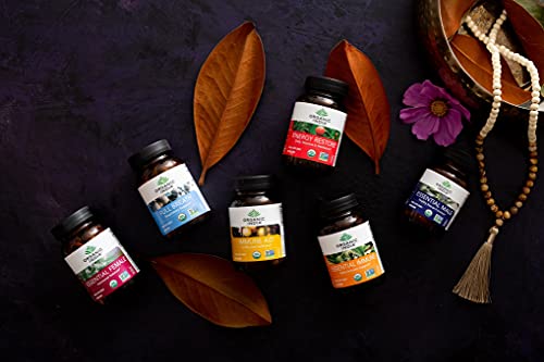 Organic India Energy Restore Herbal Supplement - Daily Stamina & Resilience, Balanced Energy Formula With Ashwagandha, Adaptogen, Ayurvedic, Usda Certified Organic, Non-Gmo - 90 Capsules #TOP2