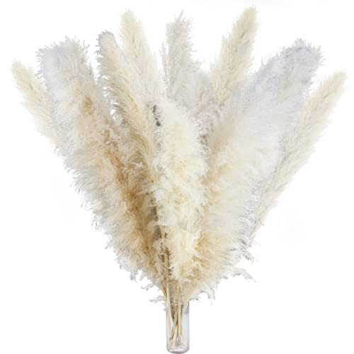 LIPJISL 10PCS Hierba de Pampa Artificial 115CM Flores Secas Pampa Blancas Secas Naturales Grand...