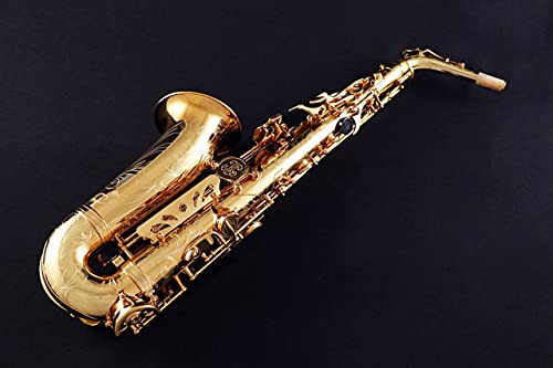Buffet Crampon 400 Series Alto Saxophone (Brass Matte Finish) #TOP1