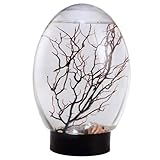 Desktop Aquarium, Mini Aquarium Fish Tank Ecosphere Closed Aquatic Ecosystem with LED Light Desktop Stable Black Base No Need to Feed or Change Water