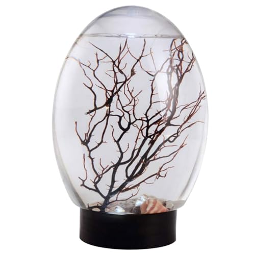 Desktop Aquarium Mini Aquarium Fish Tank Ecosphere Closed Aquatic Ecosystem with LED Light Desktop Stable Black Base No Need to Feed or Change Water
