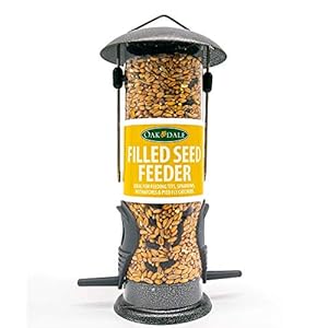 Oakdale Wild Bird Feeder Pre-Filled with Premium Seeds, Large Hanging Metal Frame with Dual Perches, Refillable Lawn and Garden Outdoor Use, Enjoy Birdwatching or Birding