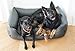 4L Textil Mario Hundebett Kunstleder Hundekorb aus Kunstleder Wasserfestes Hundebett mittelgroße Hunde Hundesofa (100x70 cm, Graphit)
