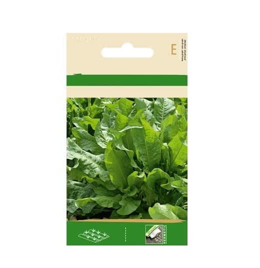 VibeX Spinach Dock Seeds-500 Seeds (B0BBGNXXK3) Amazon Price History, Amazon Price Tracker