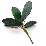 Realista: Hermoso color, estilo único, digno y elegante, mucho tiempo para guardar, las cuatro estaciones como la primavera en plena floración.