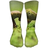 Hochelastisch, strapazierfähig und komfortabel, bequem den ganzen Tag tragen, Kompression Umarmungen, halten Sie Socken an Ort und Stelle, Hin und Her Heels und Zehen.