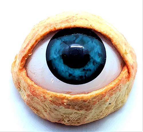 Realistic Life Size Acrylic Eye Dot for Halloween Props, Masks, Dolls, Crafts, Jewelry 1.25