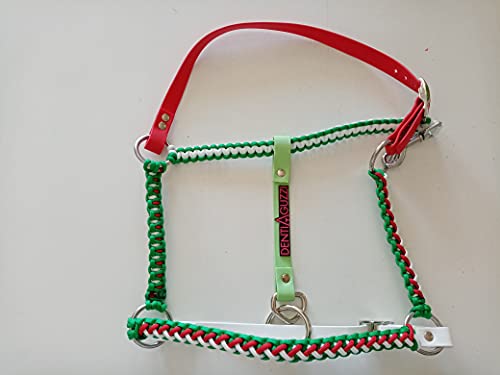 Cabezada de caballo Biothane que evita rozaduras modelo Basic dientes Aguzzi 2