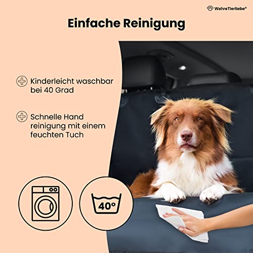 Hundedecke für das Auto – Kofferraumschutz für Hunde