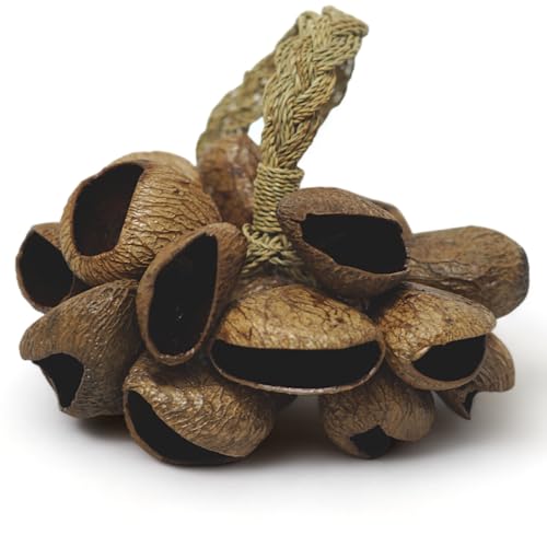 Gmp SHAK-14 Pangi Seed Shell Shaker/Nutshell Percussion Sound Effect cover