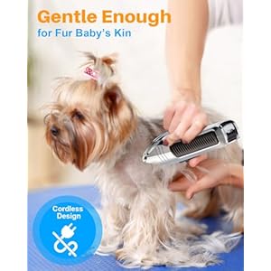   Dog-Clippers-for-Grooming-AIBORS-Dog-Shavers-Kit-for-Grooming-Low-Noise-Rechargeable-Cordless-Hair-Clippers-for-Dogs-Cats-Pets-USB-C-Charging-Quite-Dog-Hair-Trimmer-with-Stainless-Steel-Blade
