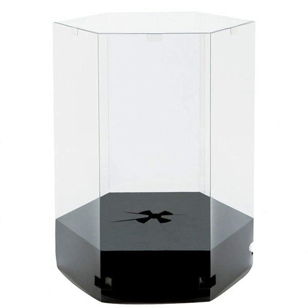 専用謀略の王国　BOX 3個　テープ付、新品未開封　クリアケース付 天馬公式】プレクシーケース LL クリアナチュラルの通販