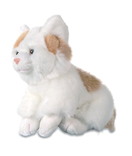 Peluche Chaton tendresse cadeau idéal pour naissance et anniversaire