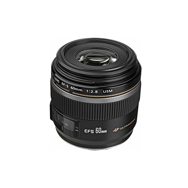 Canon EF-S 60mm F2,8 Makro USM Objektiv (52mm Filtergewinde) schwarz