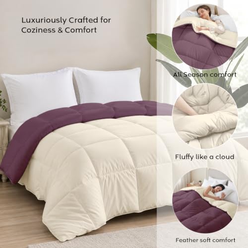 Image of AYKA Reversible Comforter 220 GSM Microfiber Reversible AC Comforter /Blanket for Winter /Quilt /Dohar /Duvets for King Size Blanket /Comforter Double Bed (Plum & Pearl, 60 * 90 inch)