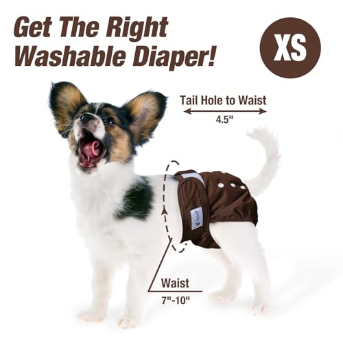 Pet Soft Washable Female Diapers (3 Pack) Female Dog Diapers, Comfort Reusable Doggy Diapers for Girl Dog in Period Heat (Deep Set, XS)
