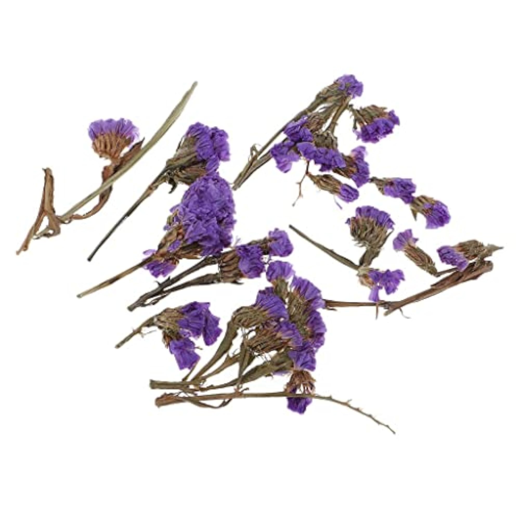Natural Dried Flowers for Candle Making, Forget-me-not