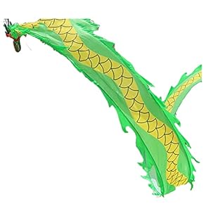 3D Kleurrijke Draak Zijde Flowy Spinning Dragon Dance Lint Streamers Chinese Folk Fitness Buitensporten