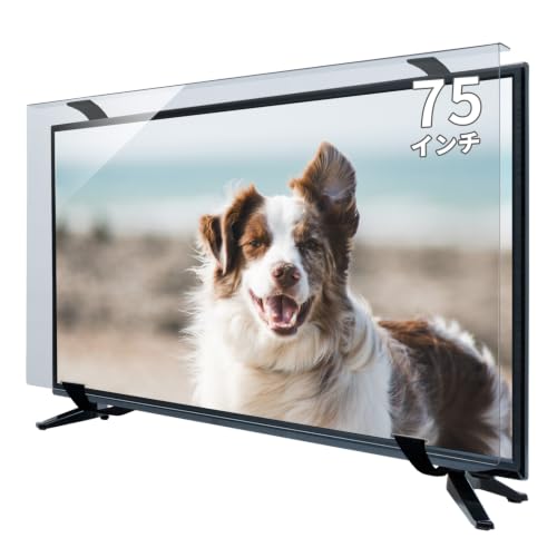 テレビ保護パネル 75インチ」の人気商品一覧・価格比較 - 価格.com