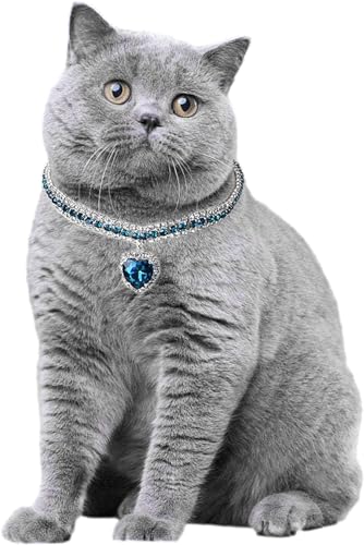 SERTYT _Ch̔L̎ | n[g^ybglbNX - qLALA^Lp̔LpANZT[AaAo^Cf[AybǧAybge[}ɂp[eB[ Bami