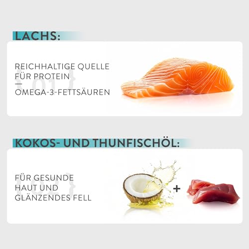 Schesir Special Skin and Coat, Lachsfilets Mit Huhn In Mousse, Vollständiges Nassfutter Für Katzen, Im Beutel, Getreidefrei… – Ansicht 6