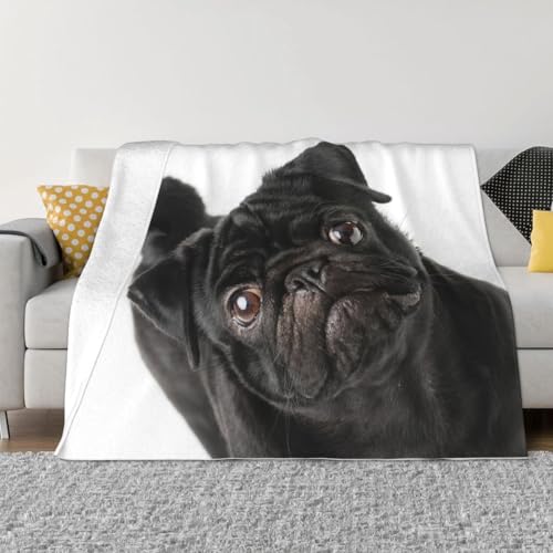 uPbg pO  F (1) 킢  ѕz GARuPbg ӂӂ  tl Ђ| _炩G g Ódh~ 􂦂 lC v[g lGKp 125cmx150cm