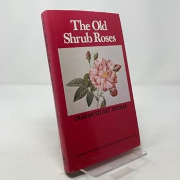 Old Shrub Roses