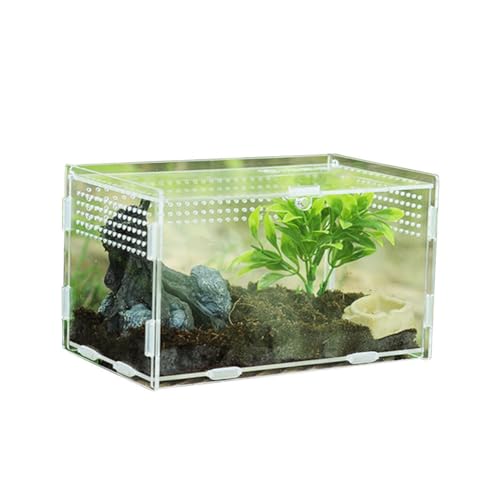 Reptilien-Terrarium – Zuchtbox | Futterbox | Schlangen-Terrarium | Transparente Eidechsenwohnung | Tropische Amphibienbecken | Reptilienzuchtkoffer Vogelspinne Skorpion Schlinge Isopoden Eidechsen
