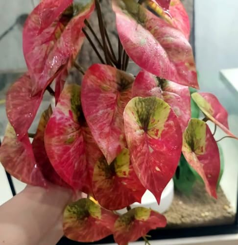 KERUIDENG Reptile Plants for Terrarium Decor, Amphibian Habitat Decor, Reptile Tank Accessories, Artificial Hanging Plants with Suction Cup-2 packs (Arrowhead)