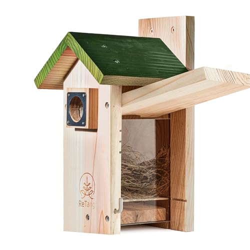 3/4 Thick Cedar Bird Houses with Metal Predator Guard, Nesting
