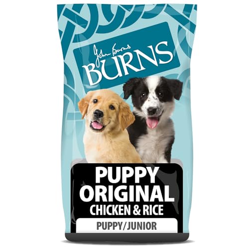Best Dog Food For Doberman Pinschers