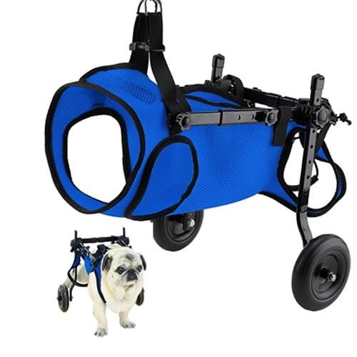 Fauteuil roulant pour chien handicapé arrière assistance mobilité roues taille XS