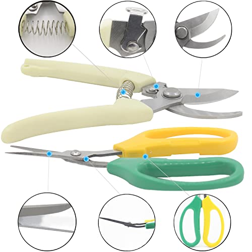 HyleJhJy Garden Pruning Shears Garden Scissors Herb Scissors Florist Scissors Floral Snips Bonsai Scissors Hand Pruner with Gardening Gloves,Stainless Steel Straight Tip and Curved Blades,Green+Blue