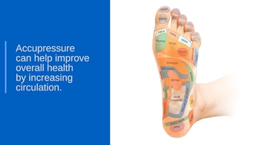 8-Quart Digital Air Fryer