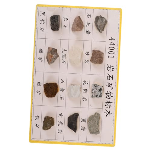 BUGUUYO 12 Pcs Rock Specimen Set Student Sicorss Lab Showg Showses Mineral Rock Specimen Mineral Rock Kit Rock Specimen for Collection Rock Specimen for Display Mineral Rocks Plastic