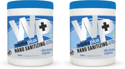 Image of WIPESPLUS Hand Sanitizing Wipes Canister Alcohol Free for Home and Business, 240 Count (Pack of 2)