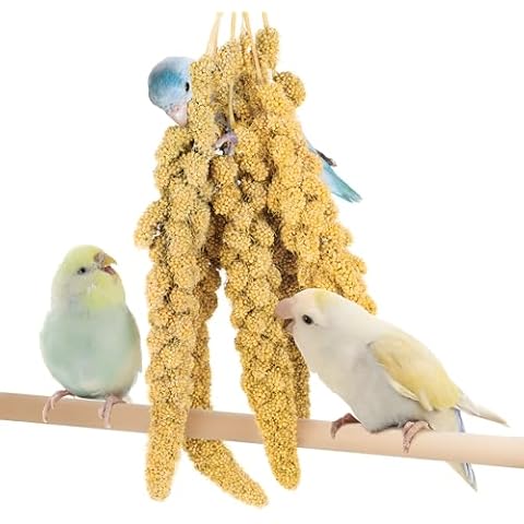 BUCATSTATE Spray Millet for Birds, Sun-Dried Healthy Millet Parakeet Treats for Parrots Cockatiel Lovebird Finch, GMO-Free Parakeet Food - 1lb Cover