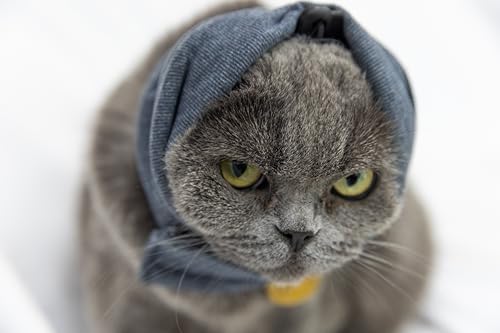Image of Cat Hematoma Ear Wrap,Keep Calm Comfort Anti Anxiety&Stress Relief - Snood for Cat Surgery Recovery Grey S
