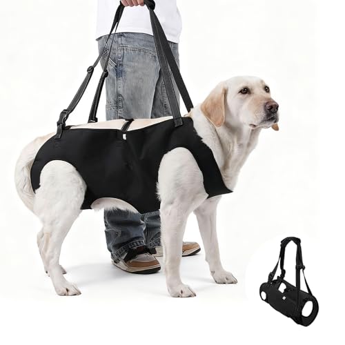 Hunde Tragehilfe, Verstellbares Hundegeschirr zum Heben, Tragbares Gehhilfe Hebegeschirr, Hundetragegurt mit Griff für Ältere, Verletzte oder Behinderte Hunde Hüftstütze für Hinterbeine