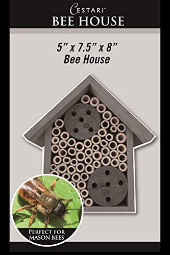 Cestari Bamboo Tube Bee Hotel