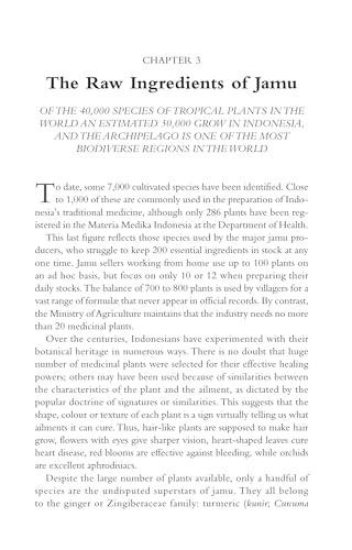 Indonesian Herbal Healing: The Science and Lore of Jamu Herbal Preparations and Treatments - Image 10