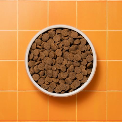 Pooch & Mutt - Getreidefreies Primal Hundetrockenfutter mit hohem Proteingehalt, Wildschwein-Geschmack, 10 kg
