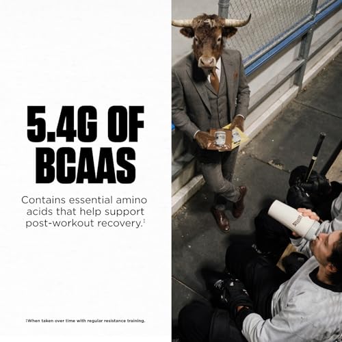 Image of Levels Grass Fed Whey Protein Powder, No Artificials, 24G of Protein, Vanilla Cinnamon, 2LB