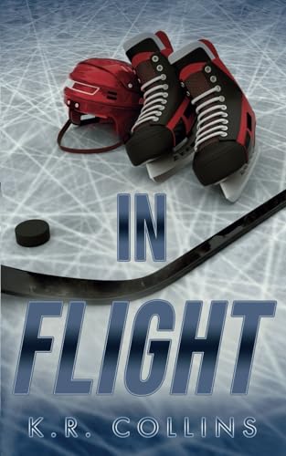 In Flight view 2