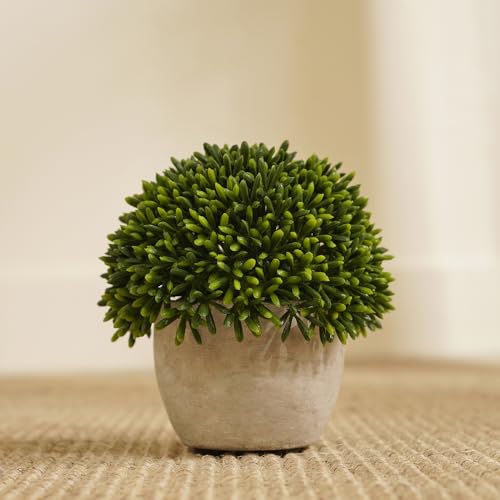 Image of Pure Home and Living Green Faux Round Grass with Cement Pot
